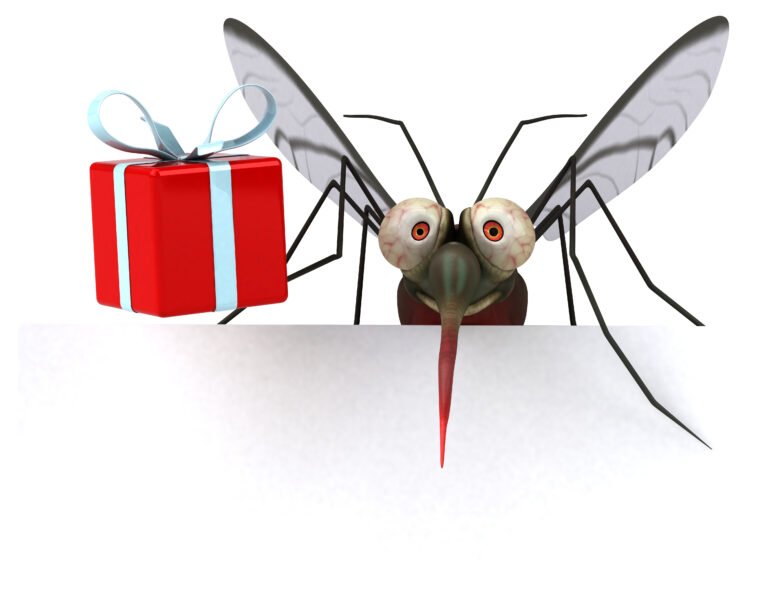 Mosquito - 3D Illustration